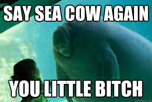 Say sea cow again  you little bitch  Overlord Manatee