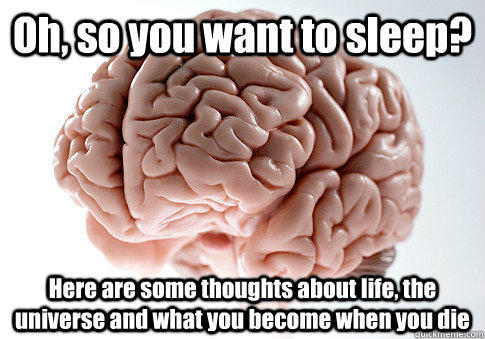 Oh, so you want to sleep? Here are some thoughts about life, the universe and what you become when you die  - Oh, so you want to sleep? Here are some thoughts about life, the universe and what you become when you die   Scumbag Brain