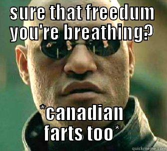 canadaball on usaball - SURE THAT FREEDUM YOU'RE BREATHING? *CANADIAN FARTS TOO* Matrix Morpheus