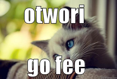 OTWORI  GO FEE First World Problems Cat