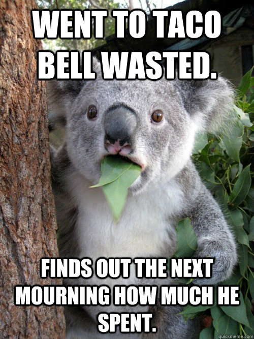 Went to Taco Bell wasted. Finds out the next mourning how much he spent. - Went to Taco Bell wasted. Finds out the next mourning how much he spent.  koala bear