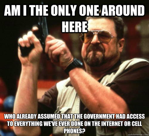 Am i the only one around here Who already assumed that the government had access to everything we've ever done on the internet or cell phones?  Am I The Only One Around Here