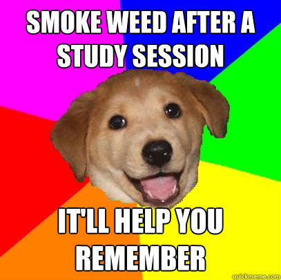 smoke weed after a study session it'll help you remember   Advice Dog