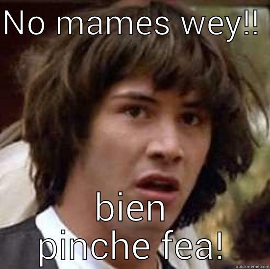 NO MAMES WEY!!  BIEN PINCHE FEA! conspiracy keanu