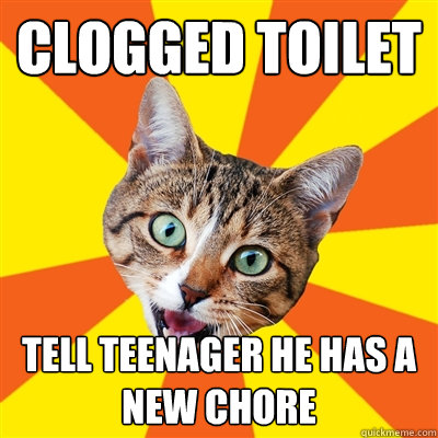 clogged toilet Tell Teenager he has a new chore  Bad Advice Cat