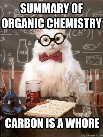 summary of Organic Chemistry carbon is a whore  Chemistry Cat