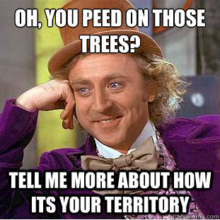 Oh, you peed on those trees?
 Tell me more about how its your territory - Oh, you peed on those trees?
 Tell me more about how its your territory  Condescending Wonka