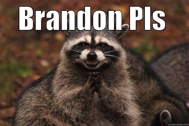 BRANDON PLS  Evil Plotting Raccoon