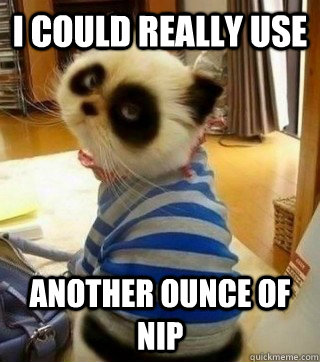 I could really use  another ounce of nip - I could really use  another ounce of nip  Confession Cat