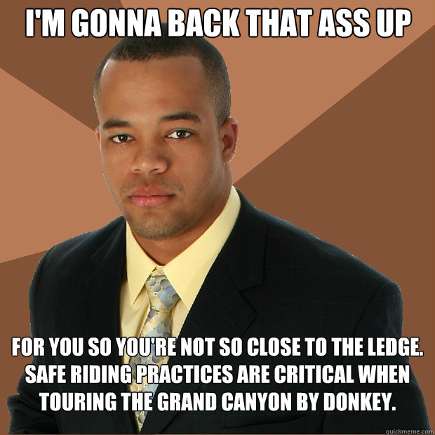 I'm gonna back that ass up for you so you're not so close to the ledge. Safe riding practices are critical when touring the grand canyon by donkey.  Successful Black Man