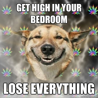 Get high in your bedroom Lose everything  Stoner Dog