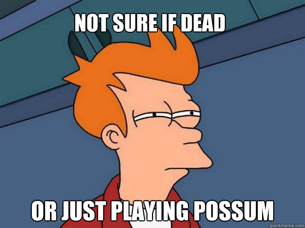 Not sure if dead Or just playing possum - Not sure if dead Or just playing possum  Futurama Fry