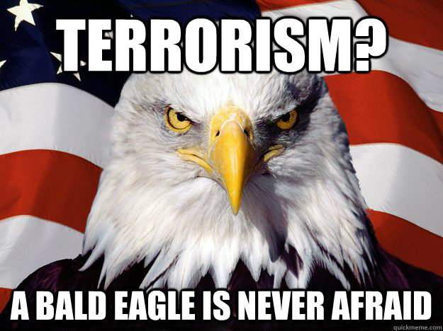 terrorism?  A BALD EAGLE IS NEVER AFRAID  One-up America