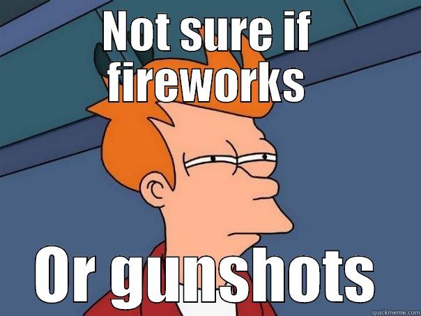 NOT SURE IF FIREWORKS OR GUNSHOTS Futurama Fry