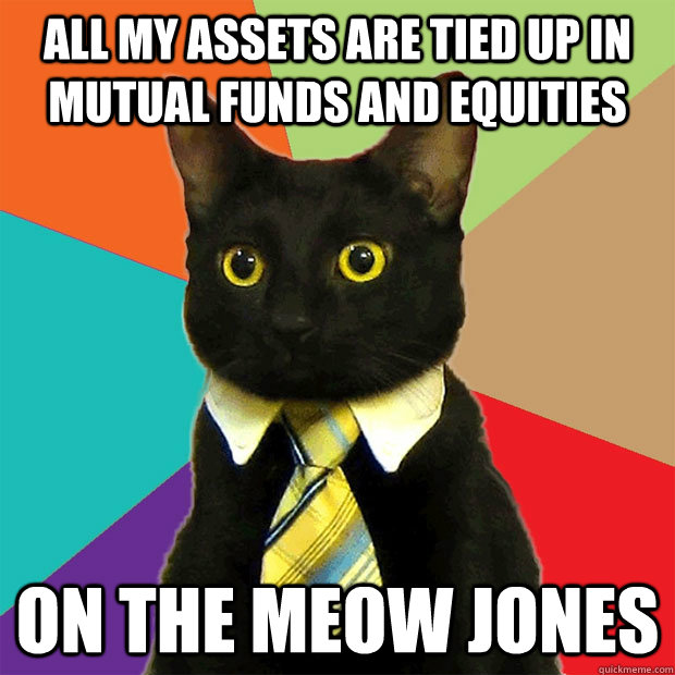 All my assets are tied up in mutual funds and equities on the Meow Jones  Business Cat