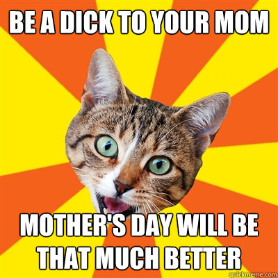 be a dick to your mom mother's day will be that much better  Bad Advice Cat