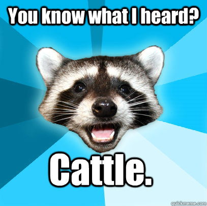 You know what I heard? Cattle.  Lame Pun Coon