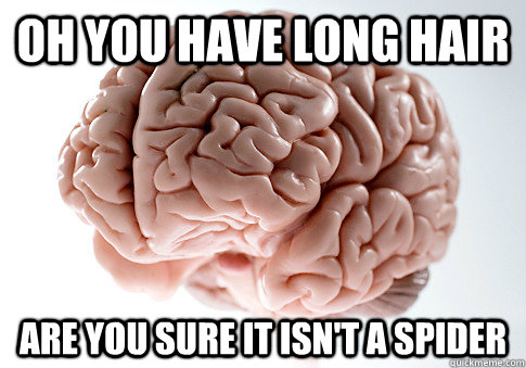 Oh you have long hair are you sure it isn't a spider  Scumbag Brain