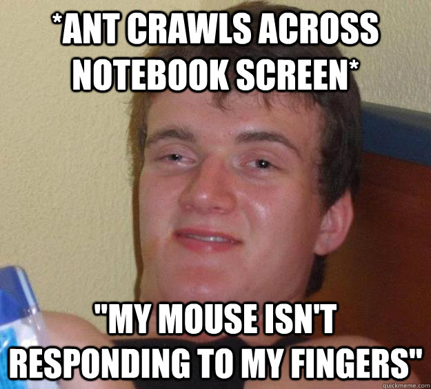 *ant crawls across notebook screen* 