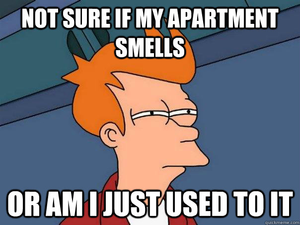 Not sure if my apartment smells or am i just used to it  Futurama Fry