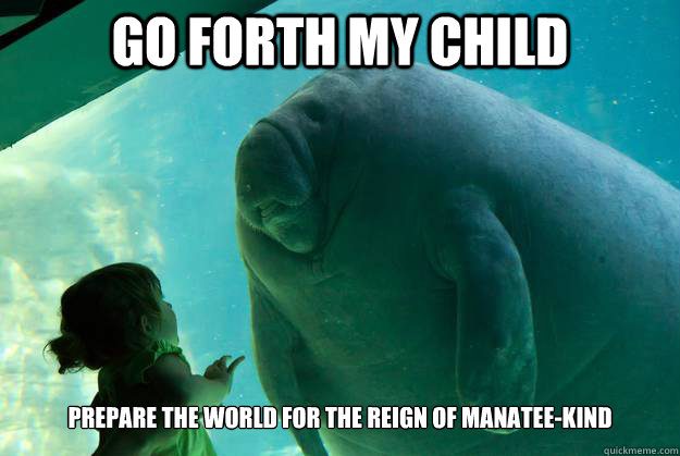 Go forth my child Prepare the world for the reign of manatee-kind   Overlord Manatee