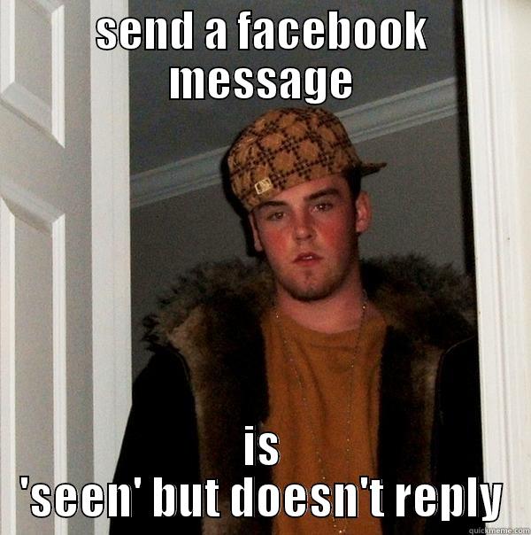 SEND A FACEBOOK MESSAGE IS 'SEEN' BUT DOESN'T REPLY Scumbag Steve