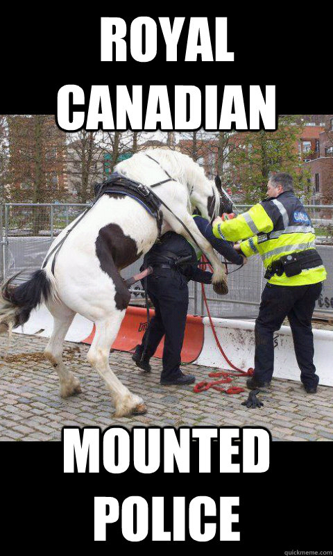 royal canadian mounted police - royal canadian mounted police  police brutality
