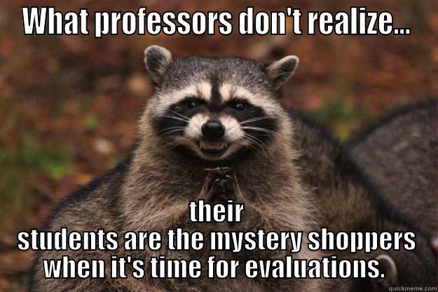 WHAT PROFESSORS DON'T REALIZE... THEIR STUDENTS ARE THE MYSTERY SHOPPERS WHEN IT'S TIME FOR EVALUATIONS.  Evil Plotting Raccoon