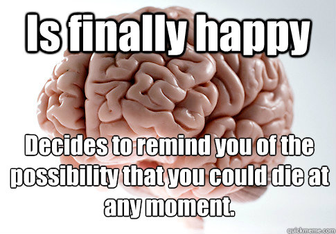 Is finally happy Decides to remind you of the possibility that you could die at any moment.   Scumbag Brain