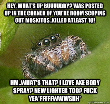 Hey, What's up buuuuddy? Was posted up in the corner of you're room scoping out moskitos..Killed atleast 10! Hm..What's that? I LOVE AXE BODY SPRAY? NEW LIGHTER TOO? FUCK YEA*FFFFFWWWSHH*  Misunderstood Spider