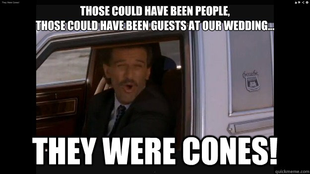 Those could have been people, 
those could have been guests at our wedding... they were cones! - Those could have been people, 
those could have been guests at our wedding... they were cones!  They Were Cones!