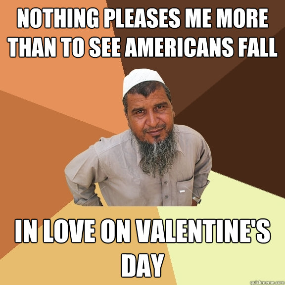 nothing pleases me more than to see americans fall in love on valentine's day - nothing pleases me more than to see americans fall in love on valentine's day  Ordinary Muslim Man