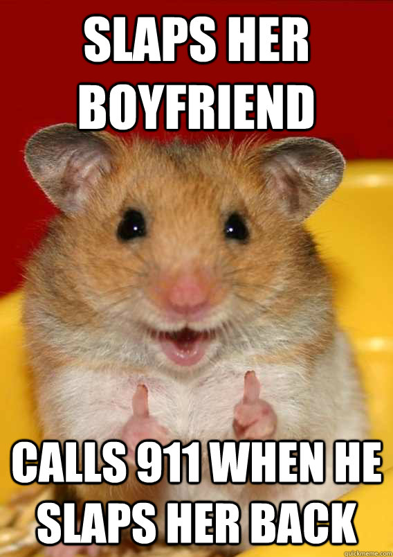 slaps her boyfriend calls 911 when he slaps her back  Rationalization Hamster