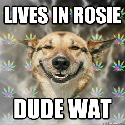 Lives in Rosie dude wat  Stoner Dog