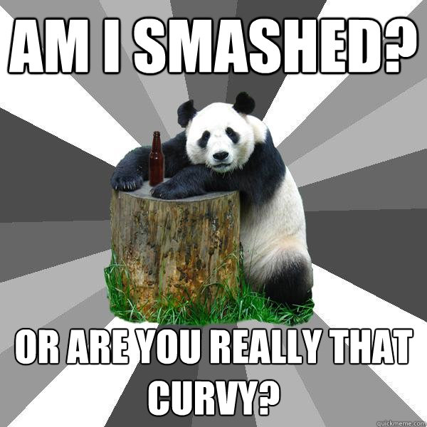 AM I SMASHED? OR ARE YOU REALLY THAT CURVY?  Pickup-Line Panda