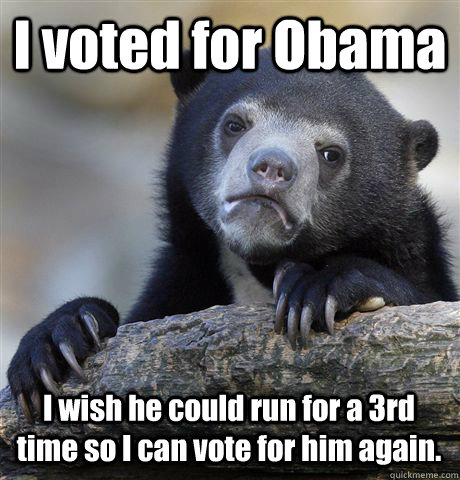 I voted for Obama I wish he could run for a 3rd time so I can vote for him again. - I voted for Obama I wish he could run for a 3rd time so I can vote for him again.  Confession Bear