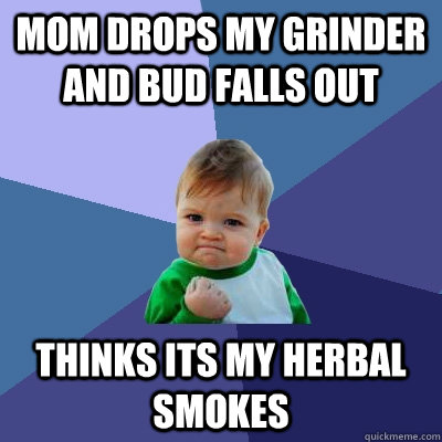 Mom drops my grinder and bud falls out thinks its my herbal smokes  Success Kid