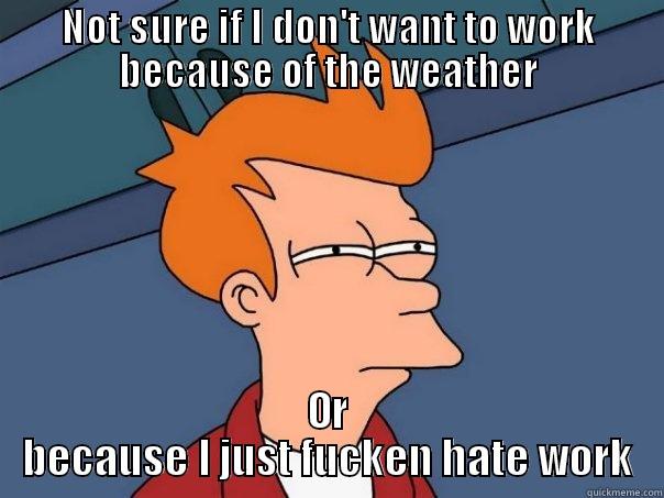 NOT SURE IF I DON'T WANT TO WORK BECAUSE OF THE WEATHER OR BECAUSE I JUST FUCKEN HATE WORK Futurama Fry