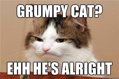 Grumpy Cat? ehh he's alright - Grumpy Cat? ehh he's alright  Indifferent Cat