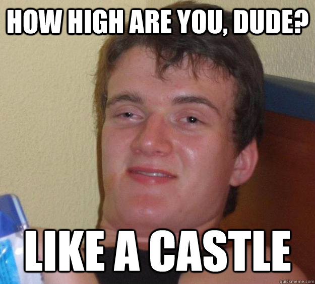 How high are you, dude? Like a castle  10 Guy