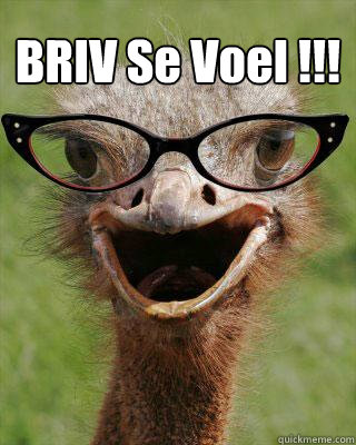 BRIV Se Voel !!!   Judgmental Bookseller Ostrich