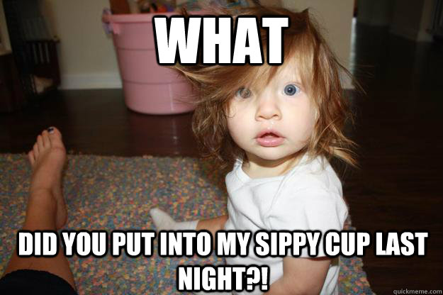 What Did you put into my sippy Cup Last night?!  