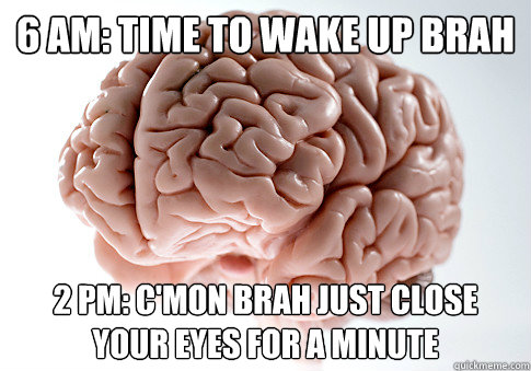 6 am: Time to wake up Brah 2 pm: C'mon Brah just close your eyes for a minute  Scumbag Brain