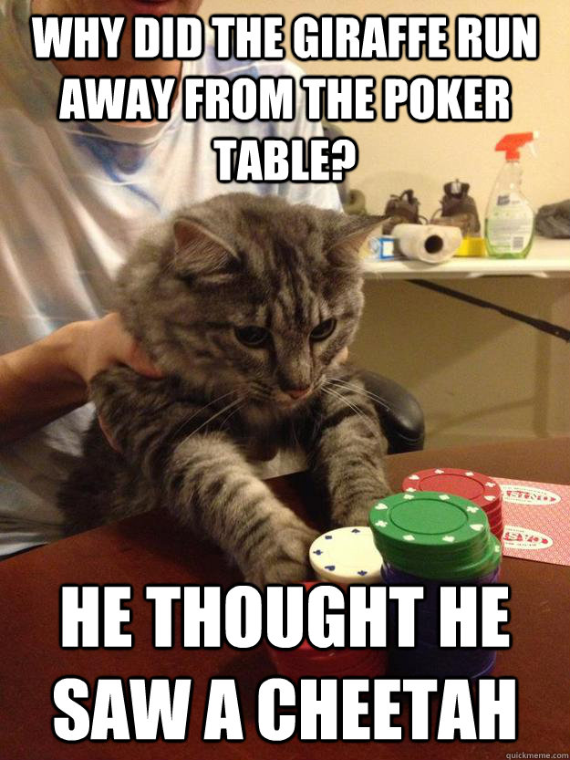 Why did the giraffe run away from the poker table? He thought he saw a cheetah - Why did the giraffe run away from the poker table? He thought he saw a cheetah  Walter the Cat