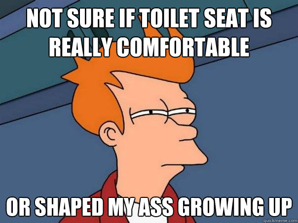 Not sure if toilet seat is really comfortable or shaped my ass growing up  Futurama Fry