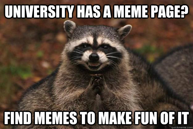 university has a meme page? find memes to make fun of it  Evil Plotting Raccoon