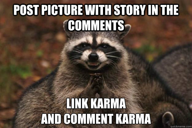 Post Picture with story in the comments Link Karma
And comment karma  Evil Plotting Raccoon