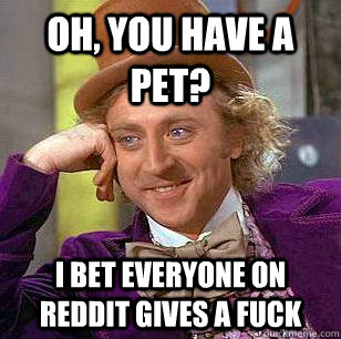 oh, You have a pet? I bet everyone on reddit gives a fuck - oh, You have a pet? I bet everyone on reddit gives a fuck  Condescending Wonka