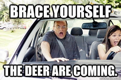 Brace yourself The deer are coming. - Brace yourself The deer are coming.  Remindeer