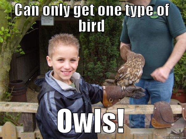 CAN ONLY GET ONE TYPE OF BIRD OWLS! Misc